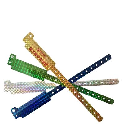 2023 Pulseira de identificação holográfica Exposição e Concerto Admissão Pulseiras Brilhante